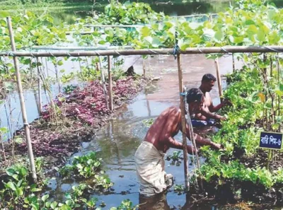 28 വിളകൾക്ക് ഇൻഷുറൻസ് പരിരക്ഷ  കാലാവസ്ഥ അധിഷ്ഠിത ഇൻഷുറൻസ് പദ്ധതിയിൽ അംഗമാകാം