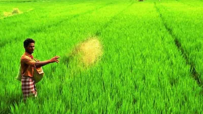 രാസവളങ്ങളുടെ വില കുത്തനെക്കൂട്ടി കേന്ദ്രം
