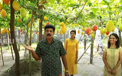 ഗാഗ് ഫ്രൂട്ട് ആലപ്പുഴയില്‍ വിജയകരമായി വിളയിച്ചു പ്രമോദ്