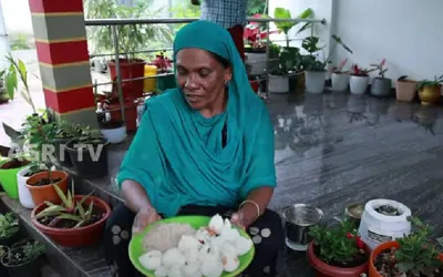 ചെടികള്‍ നന്നായി വളരാനും പൂക്കളുണ്ടാകാനും സഹായിക്കുന്ന ഒരു പൊടിക്കൈ പരിചയപ്പെടുത്തി നസീമ