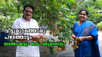 വീട്ടുമുറ്റത്തൊരു പഴത്തോട്ടം      സന്തോഷവും ഒപ്പം വരുമാനവും    