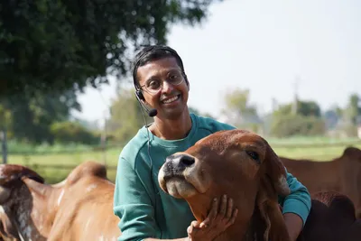 ഐടി ജോലി ഉപേക്ഷിച്ച് പശുക്കളെ വാങ്ങി   ദമ്പതികൾ ആരംഭിച്ച ഡയറി ഫാമിന്റെ ഈ വർഷത്തെ ടേണോവർ 2 കോടി രൂപ
