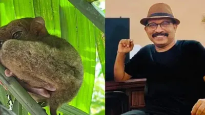 ശരീരത്തേക്കാൾ വലിയ കണ്ണ്  ഭാരം 160 ഗ്രാം വരെ മാത്രം  അപൂർവ ജീവിയുടെ ചിത്രം പകർത്തി മലയാളി ഡോക്ടർ