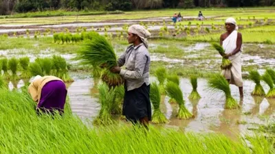 കർഷക തൊഴിലാളികളുടെ മക്കൾക്ക് വിദ്യാഭ്യാസ ധനസഹായം