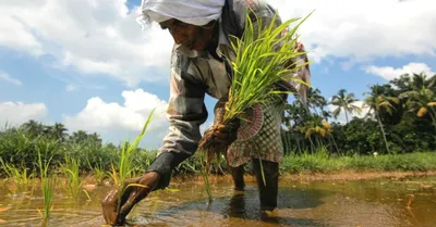 സംസ്ഥാന കർഷക അവാർഡ് 2024   അപേക്ഷ ക്ഷണിച്ചു