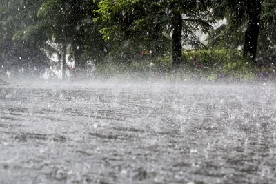 കാലവർഷം രണ്ടാഴ്ചക്കുള്ളിൽ കേരളത്തിലെത്തും