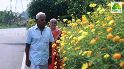 മാലിന്യം തള്ളിയ പാതയോരം ഇപ്പോൾ പൂക്കളാൽ സുലഭം മാതൃകാപരം ഈ അച്ഛനും അമ്മയും