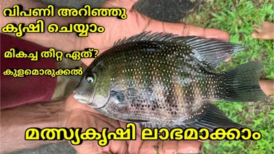 മത്സ്യ കൃഷി ലാഭകരമാക്കാം 