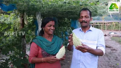 അച്ഛൻ പഠിപ്പിച്ച കൃഷിപ്പാഠങ്ങൾ ഒന്നും മറന്നില്ല  മാധുരി വിളയിച്ചത് നൂറുമേനി