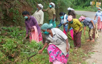 തൊഴിലുറപ്പിൽ നിന്ന് പുല്ലു ചെത്തലും കാടുവെട്ടും ഒഴിവാക്കി