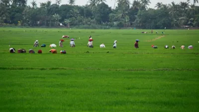 അക്ഷയശ്രീ അവാർഡിനുള്ള അപേക്ഷ ക്ഷണിച്ചു അപേക്ഷിക്കാനുള്ള അവസാന തീയതി നവംബർ 30