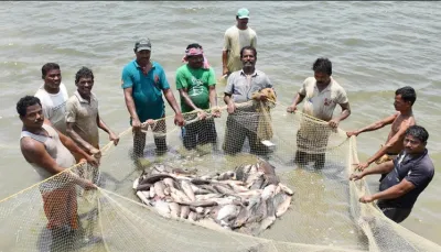 പ്രധാനമന്ത്രി മത്സ്യസമ്പാദ യോജന പദ്ധതിയിലേക്ക് ഇപ്പോൾ അപേക്ഷിക്കാം  ബയോഫ്‌ളോക്ക് കുളം നിർമ്മിച്ച് മത്സ്യം വളർത്തുന്നതിന് പദ്ധതിയുടെ 40 രൂപ സബ്സിഡി നൽകും