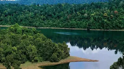 കാടിന്റെ വിപണി മൂല്യം രേഖപ്പെടുത്തി വനം വകുപ്പ്