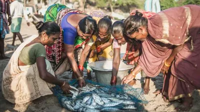 മത്സ്യത്തൊഴിലാളികളുടെ മക്കൾക്കുള്ള ഫിഷറീസ് ഇ ഗ്രാന്റിനുള്ള അപേക്ഷകൾ ക്ഷണിച്ചു