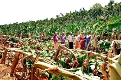 കാലാവസ്ഥ വ്യതിയാനം മൂലം കർഷകർ നേരിടുന്ന പ്രതിസന്ധികൾ തടയാൻ സംസ്ഥാനത്ത് അഗ്രോ ഇക്കോളജിക്കൽ യൂണിറ്റുകൾ സ്ഥാപിക്കും