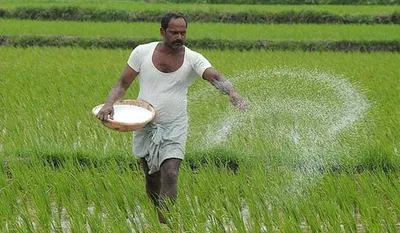 കൃഷിയെ ആശ്രയിക്കുന്നവരിൽ വർദ്ധനയെന്ന് സർവ്വേ റിപ്പോർട്ട്